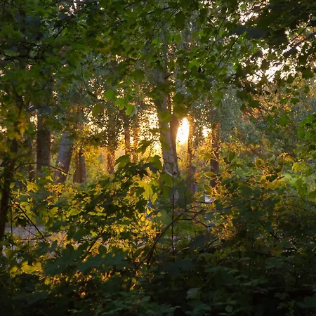 Apartamento Wohnen Am Suedstrand - 0 8